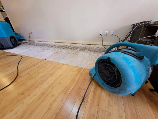 Professional Water Damage Repair technician working in Herrick, SD